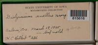 Image Associated With the Occurence